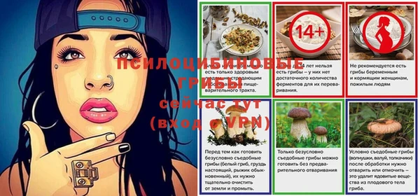 2c-b Бронницы